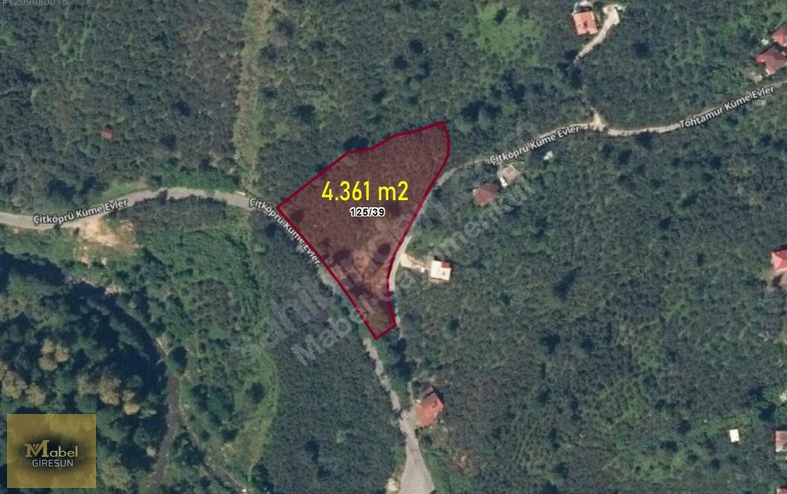 MABEL GAYRİMENKUL KEŞAP / YOLAĞZI/ YOL KENARI FIRSAT BAHÇE